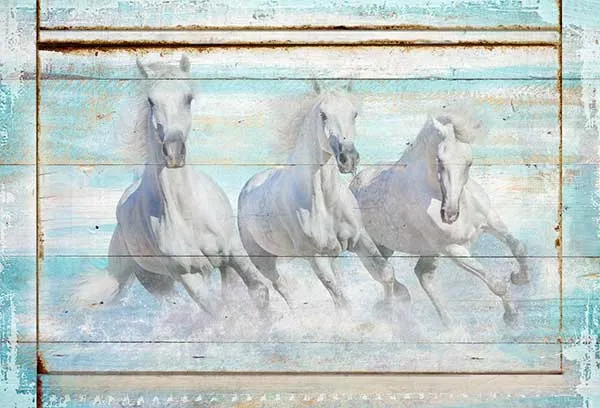 Coastal Wall Decor -Wild Horses on Beach Wall Art