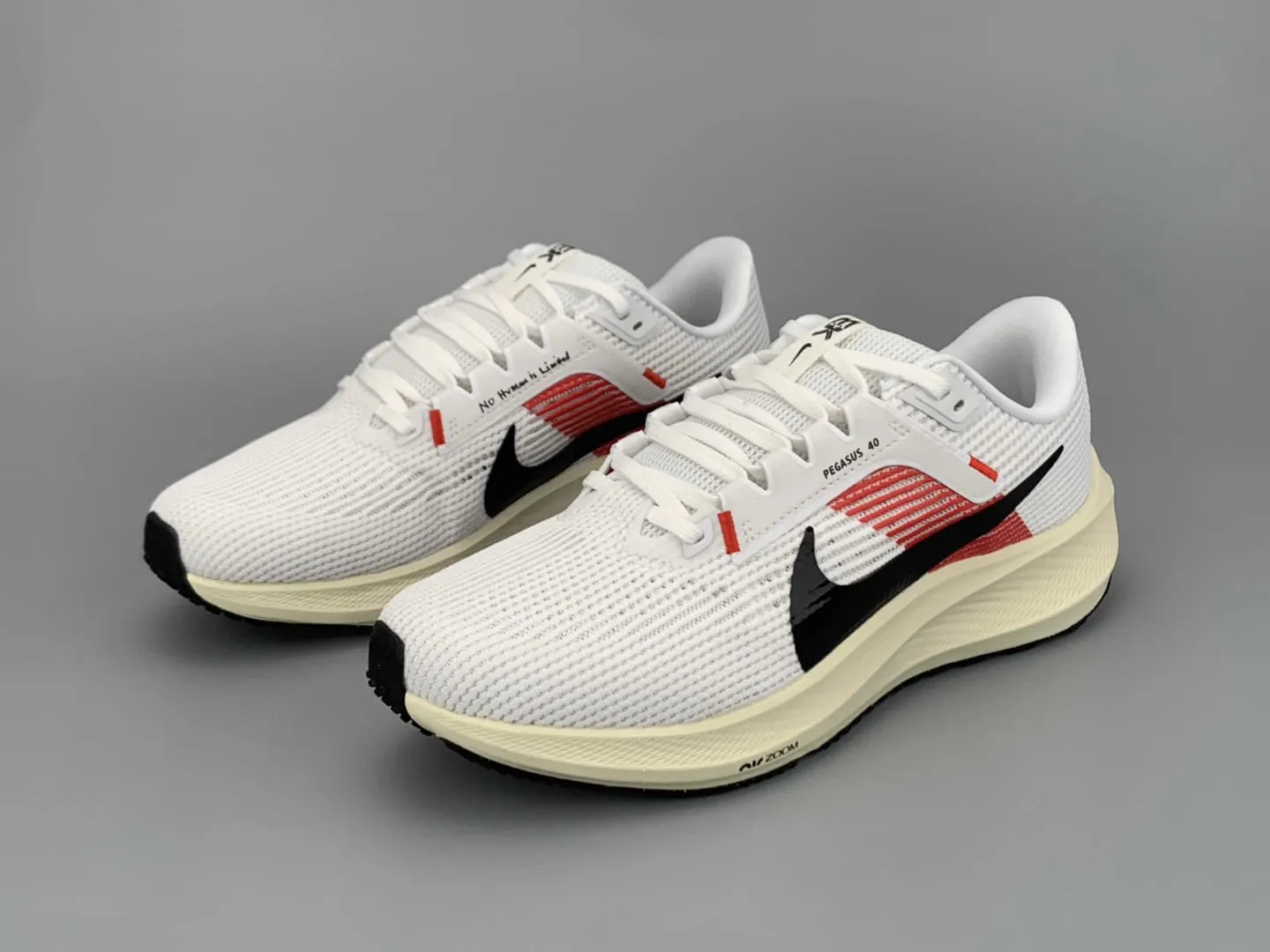 NIKE PEGASUS 40 EK VERSION